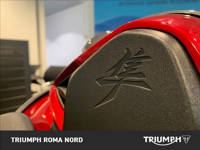 SUZUKI Hayabusa 1300 Abs