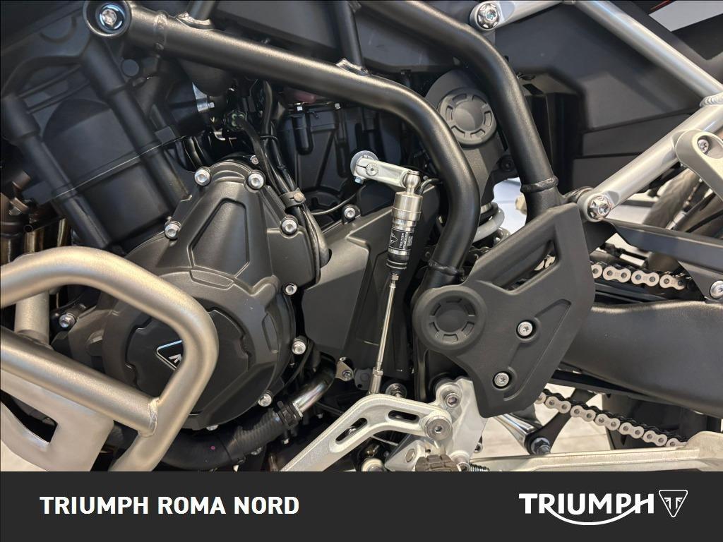 TRIUMPH Tiger 900 Rally Pro Abs